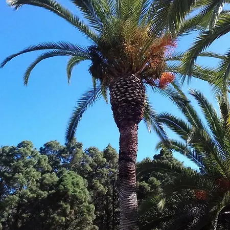Monte Frio De Tenerife Venkovský dům La Guancha
