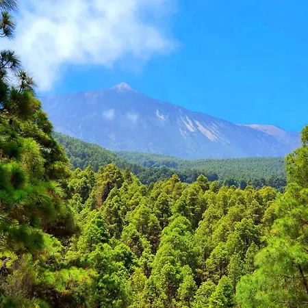 Landhaus Monte Frio De Tenerife La Guancha