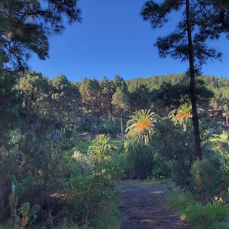 Monte Frio De Tenerife Landhaus