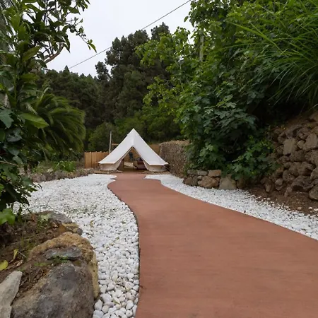 Monte Frio De Tenerife * La Guancha