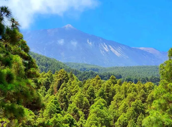 Landhaus Monte Frio De Tenerife La Guancha