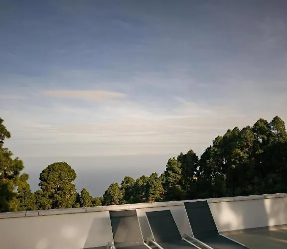 Monte Frio De Tenerife * La Guancha