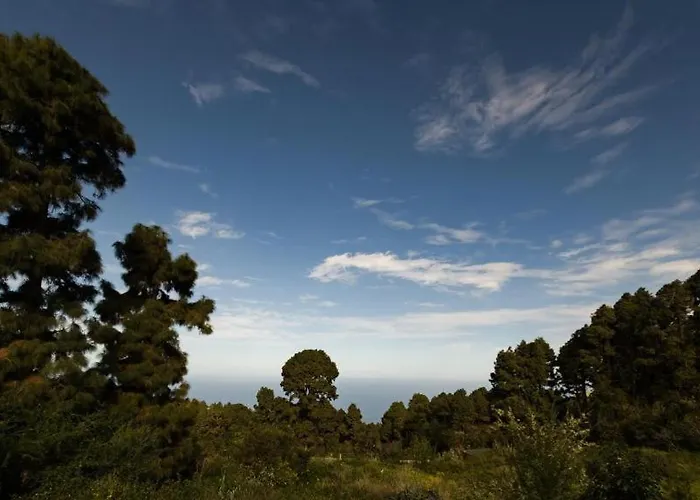 Monte Frio De Tenerife