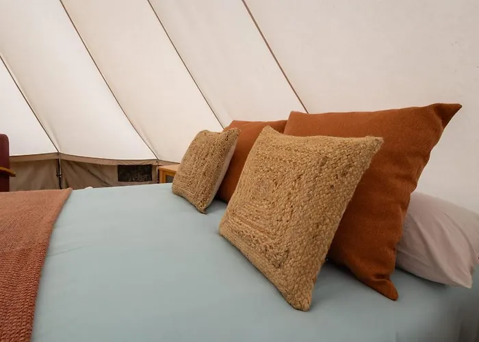 Monte Frio De Tenerife La Guancha