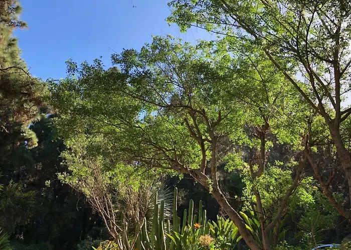 Monte Frio De Tenerife Landhaus *
