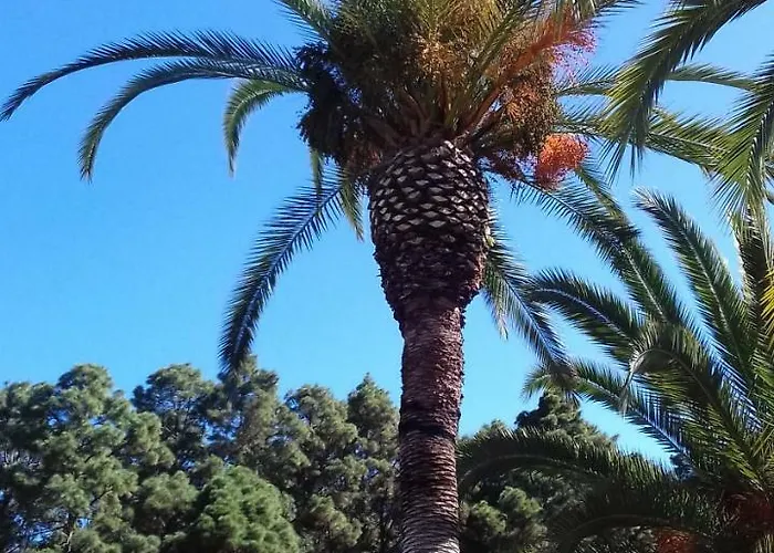 Monte Frio De Tenerife Landhaus La Guancha